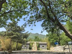 -阳台山自然风景区