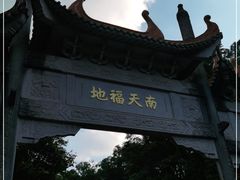 -南海湾森林生态园