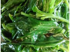 -亚龙湾海底世界