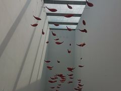 -千岛湖-欢乐水世界