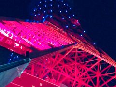 -东京塔海贼王主题公园