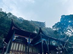 -南山植物园
