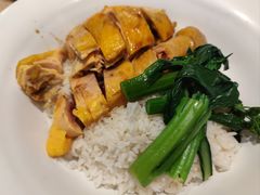 白切龙江鸡饭-大家乐(佛山普君店)