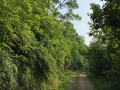 -平湖九龙山旅游度假区