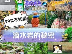 -滴水岩森林公园