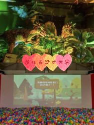 -恐龙探索乐园(磁器口店)