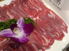 -南门四季铜锅涮肉(左家庄店)