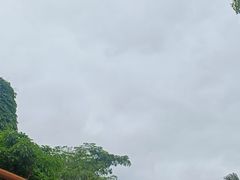 -灵玲国际马戏城