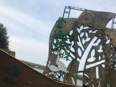 -北海金海湾红树林生态旅游区