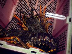 -新海山海鲜餐馆