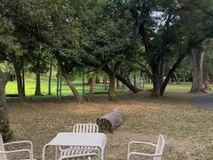 -南宁良凤江国家森林公园