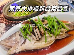八卦洲芦蒿蒸鳜鱼-南京大牌档(淮安吾悦广场店)