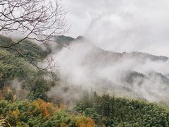 -塔川景区