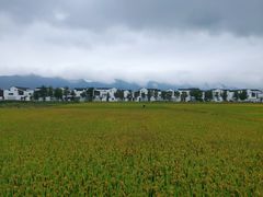 -东梓关景区村庄
