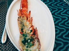-瑞德姆美人鱼海底演艺主题餐厅(亚龙湾店)