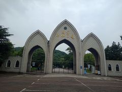 -上海佘山国家森林公园东门地面停车场