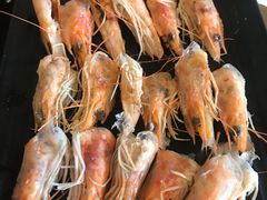 -丽江庭院之丽江往事(安定门店)