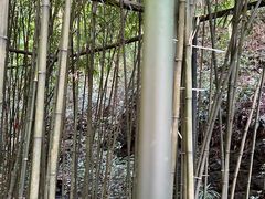 -常德桃花源景区