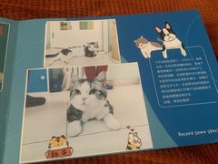 -纳吉亚猫专科动物医院博雅分院