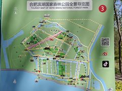 -合肥滨湖国家森林公园