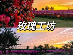 -栖露营camping·天幕烧烤·团建拓展·采摘营地