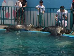 -北戴河圣蓝海洋公园