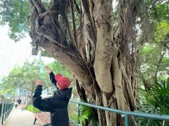 -九龙公园