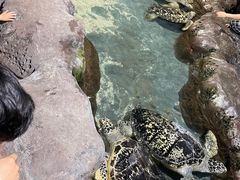 -南昌海洋公园