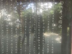-白沙古井
