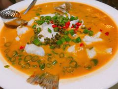 鲜椒豆花鲈鱼-川味堂·四川豆花(八卦岭店)
