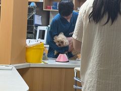 -联合动物医院(光谷诊疗中心)