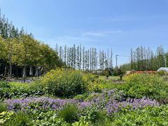 -前小桔亲子创意农场·草莓采摘·露营烧烤