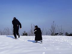 -绿野森林乐园冰雪季