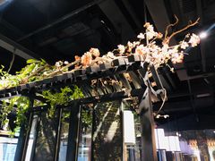 -杏花堂·山西菜馆(晋中万达店)