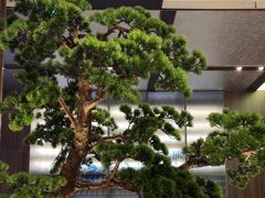 -聆桂烤鸭·金奖烤鸭(静联广场店)
