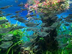 -太平洋海底世界