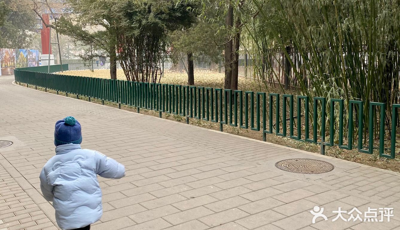 北京公园｜陶然亭冬韵