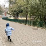 北京公园｜陶然亭冬韵