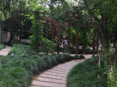-乌镇东栅景区