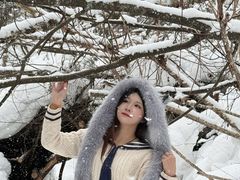 -峡谷浮石林景区