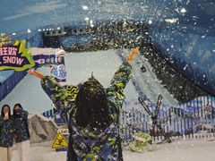-世界之窗阿尔卑斯冰雪世界
