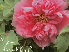 -达活泉公园