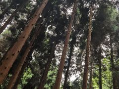 -娄山关景区