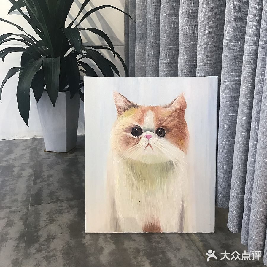 治愈心灵的猫咪画作