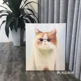 治愈心灵的猫咪画作