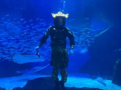 -海合安成都极地海洋公园
