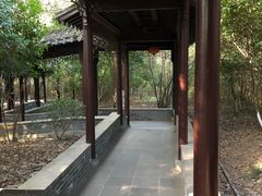 -八大山人梅湖景区