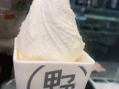 -野人先生现做冰淇淋(北京环宇荟店)