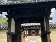 -奈良公园