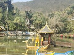 -西双版纳原始森林公园